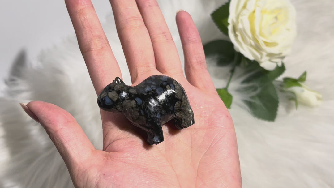 Capibara Carving - Que Sera Stone