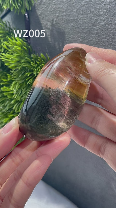 Chat afghan Jade avec troisième œil