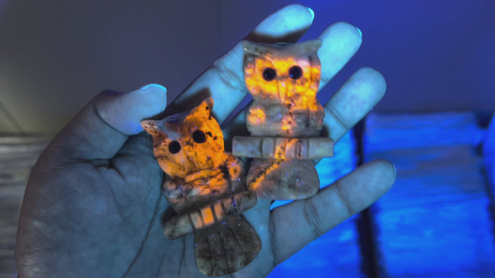 Natural Green and Blue Sodalite Owl
