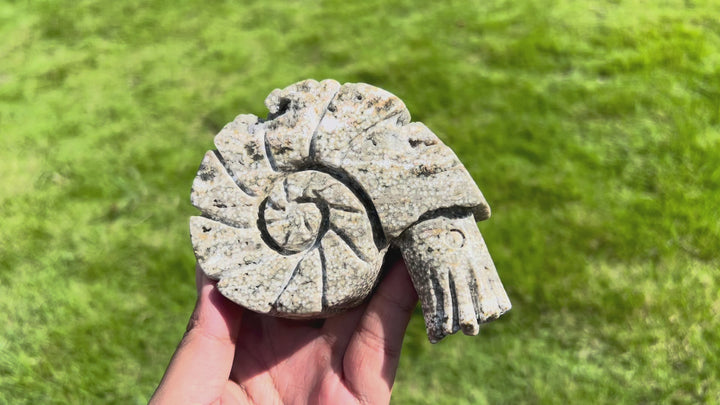 Ocean Jasper Ammonite