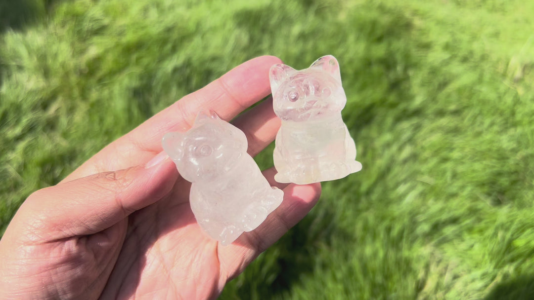 Natural Clear Quartz Cat