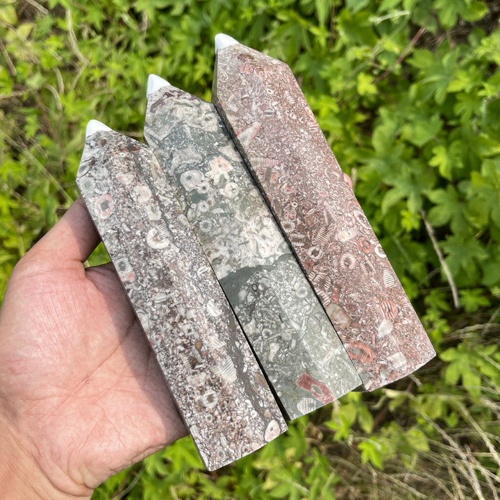 Unique,Natural Crystal Crinoid Fossil Point