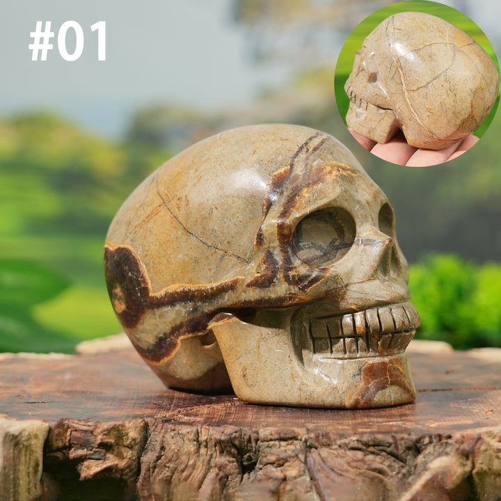 Unique, Natural Septarian Skull