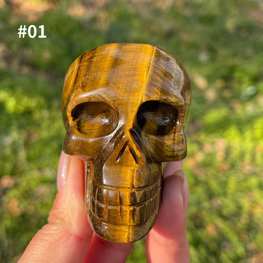 Unique,Natural Crystal Tiger Eye Skull