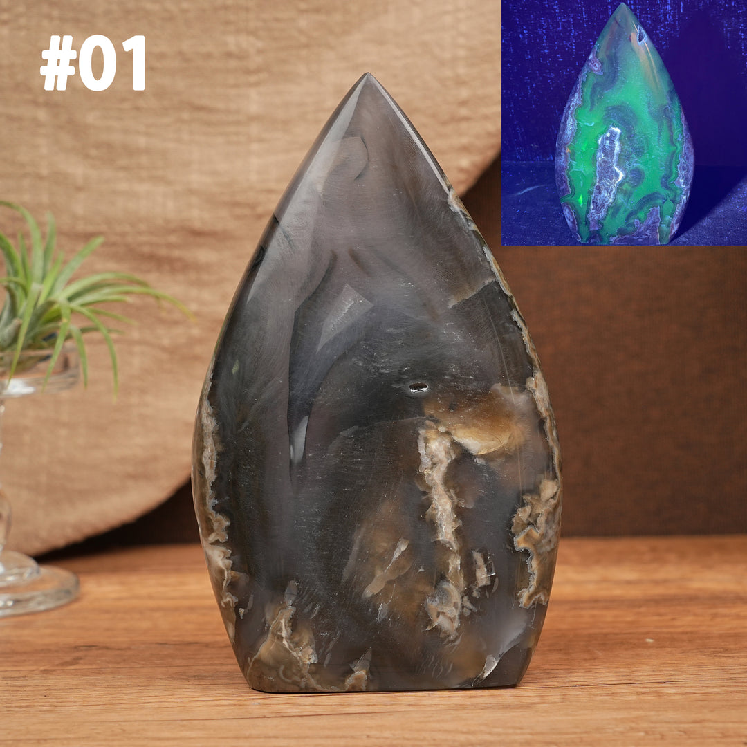 Larme d'agate mousse