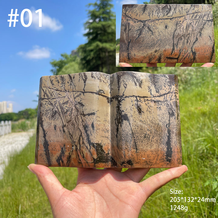 Unique,Natural Crystal Picture Jasper Book Carving