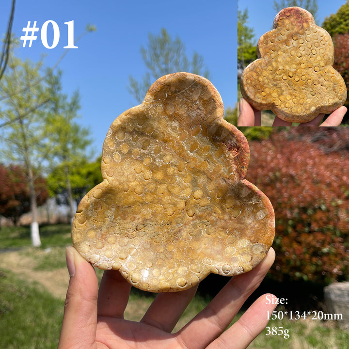 Unique,Natural Coral Fossil Crystal Flower Bowl