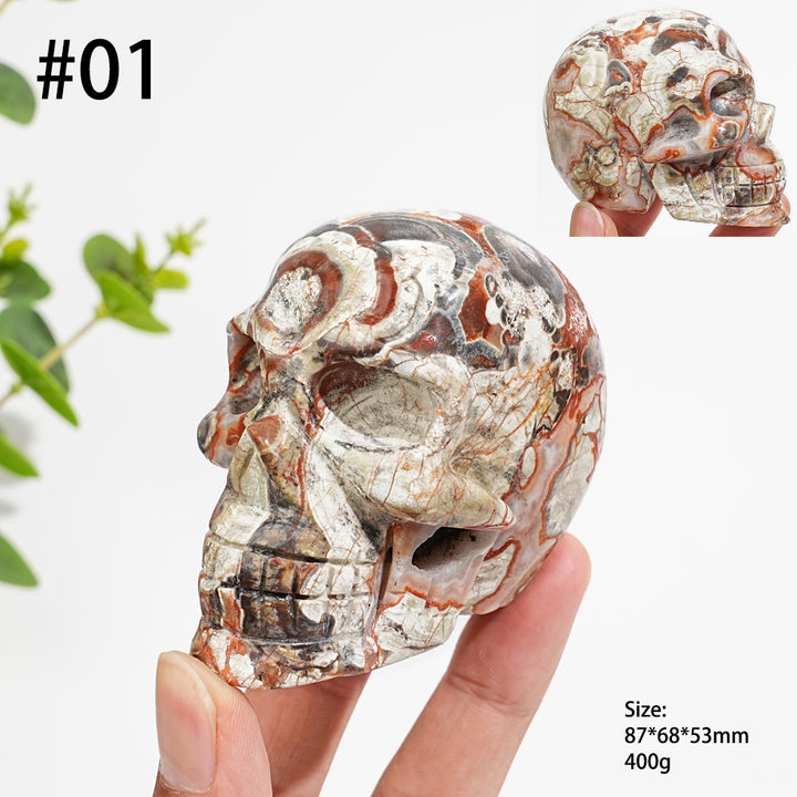 Unique,Natural Money Agate Skull Carving