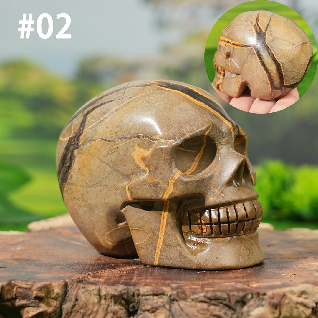 Unique, Natural Septarian Skull