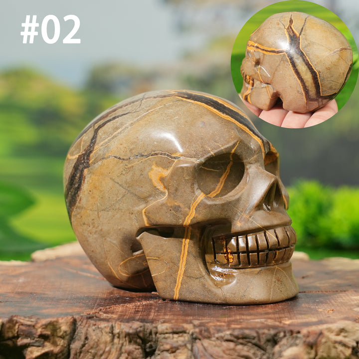 Unique, Natural Septarian Skull