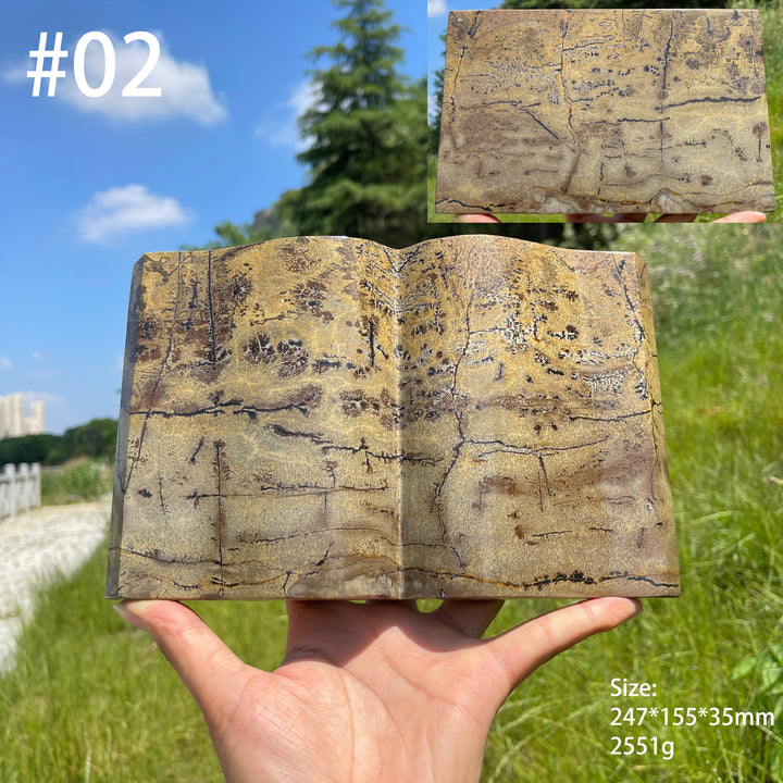 Unique,Natural Crystal Picture Jasper Book Carving