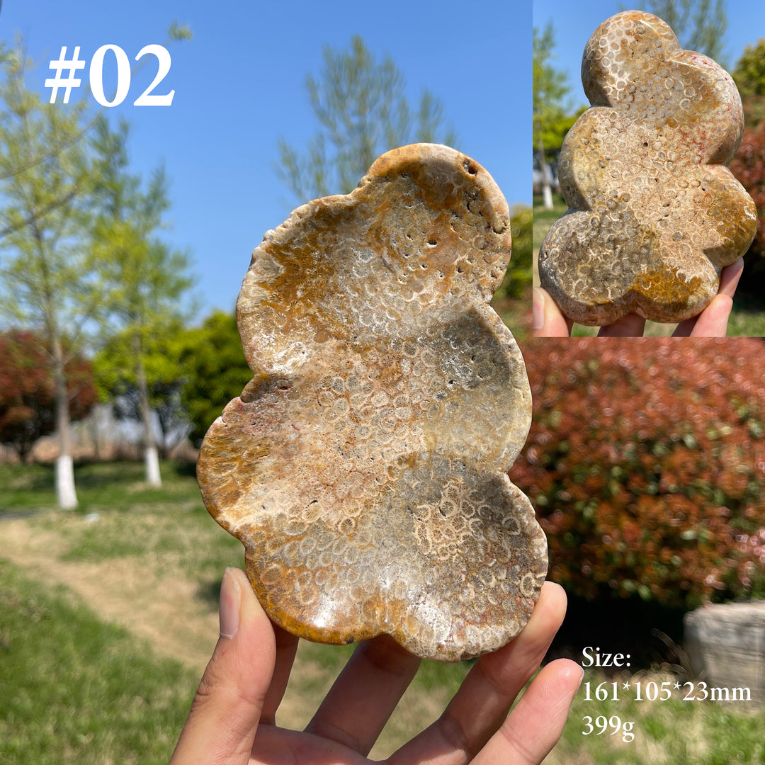 Unique,Natural Coral Fossil Crystal Flower Bowl