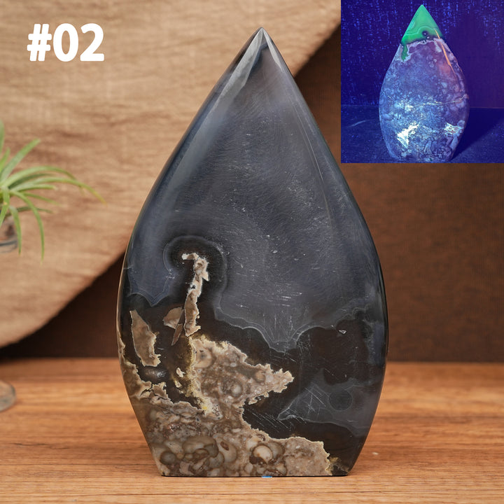 Larme d'agate mousse