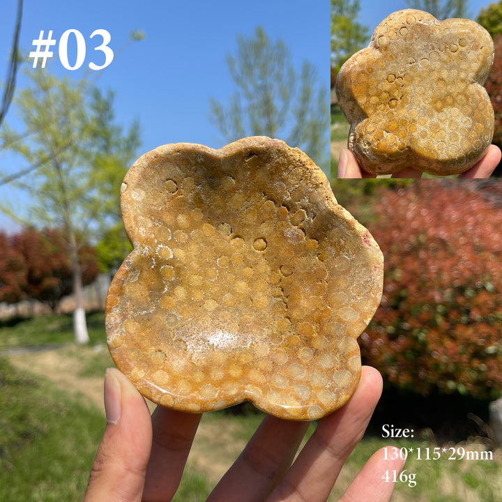 Unique,Natural Coral Fossil Crystal Flower Bowl