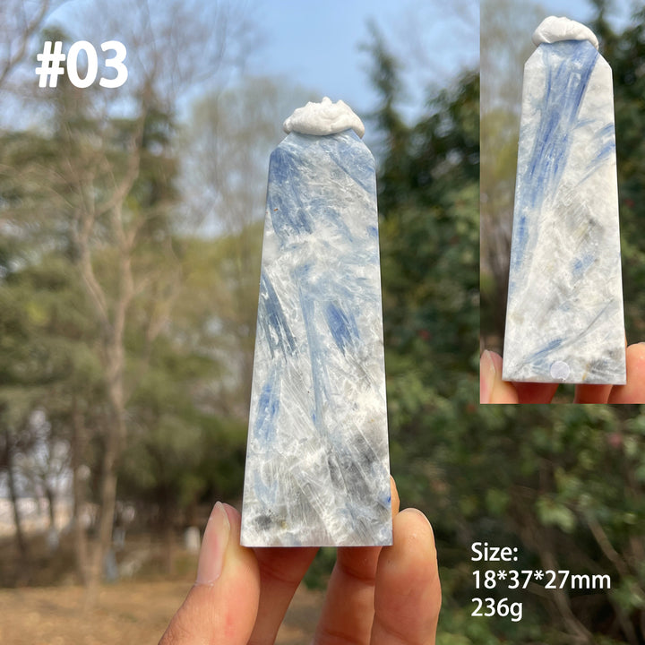 Unique,Natural Crystal Blue Kyanite Point