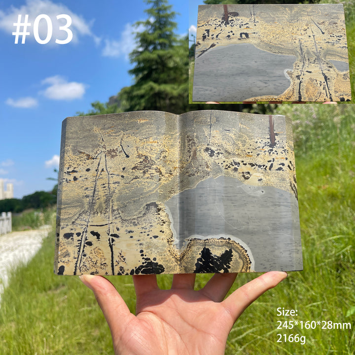 Unique,Natural Crystal Picture Jasper Book Carving