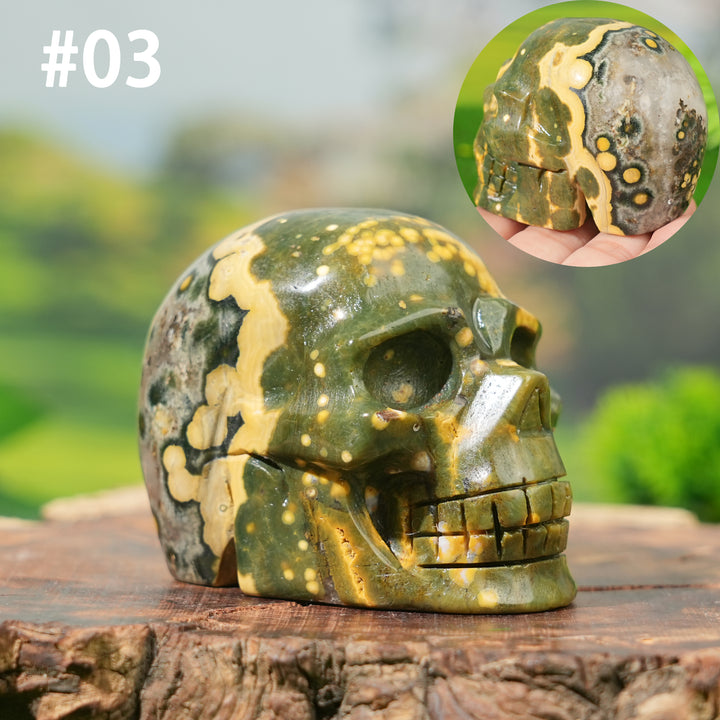 Unique,Natural Ocean Jasper Skull