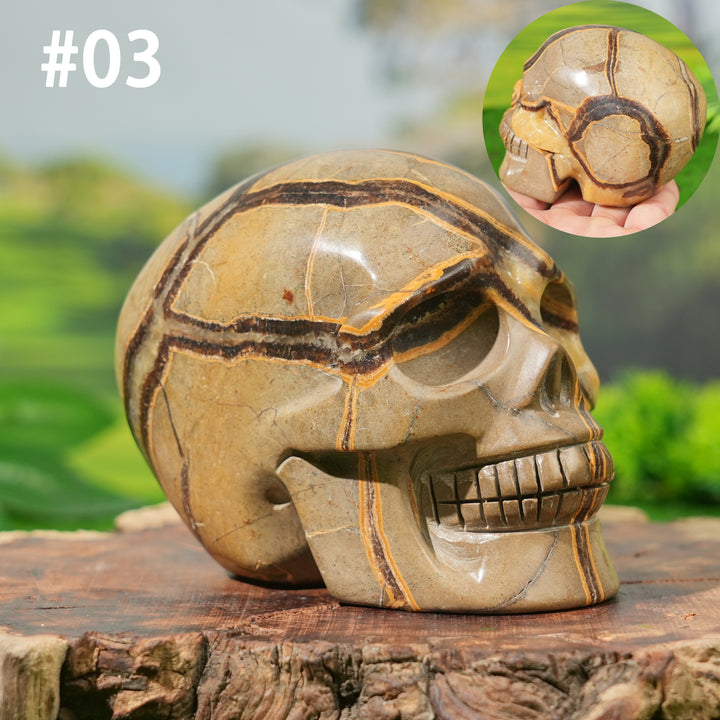 Unique, Natural Septarian Skull