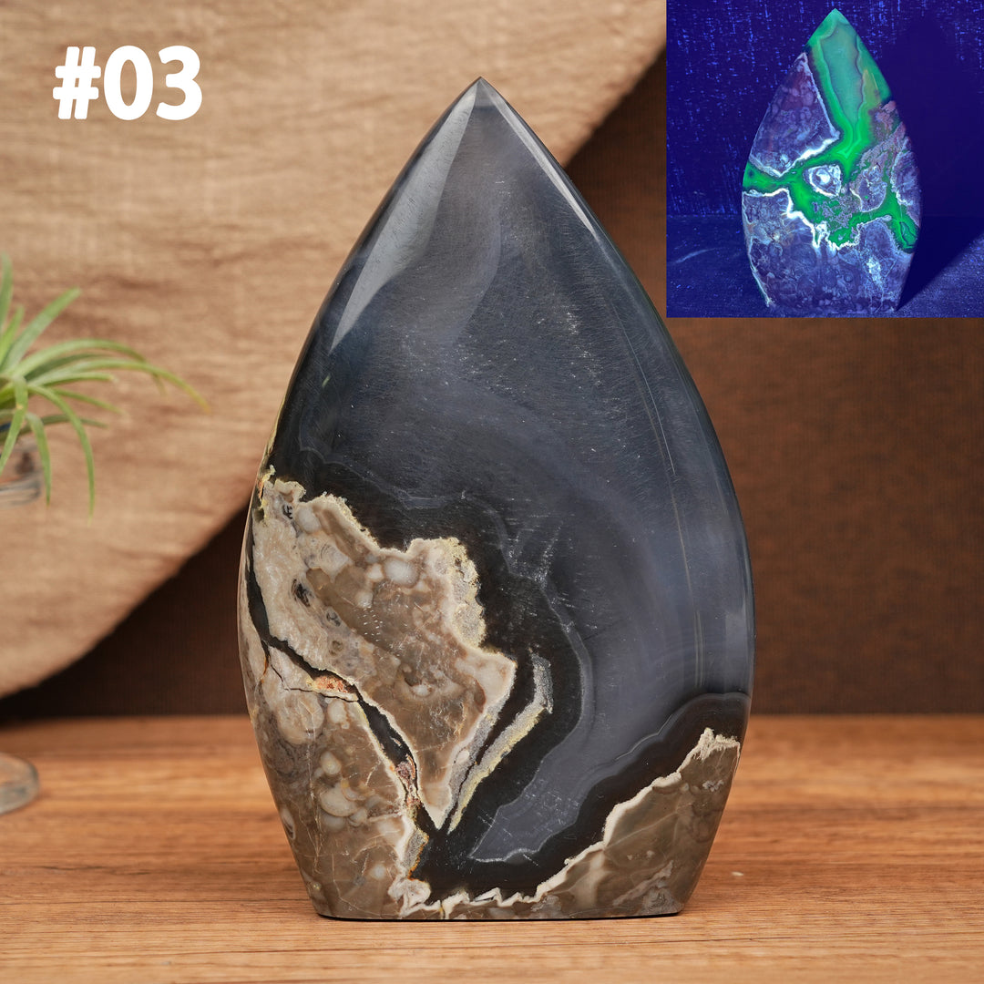 Larme d'agate mousse