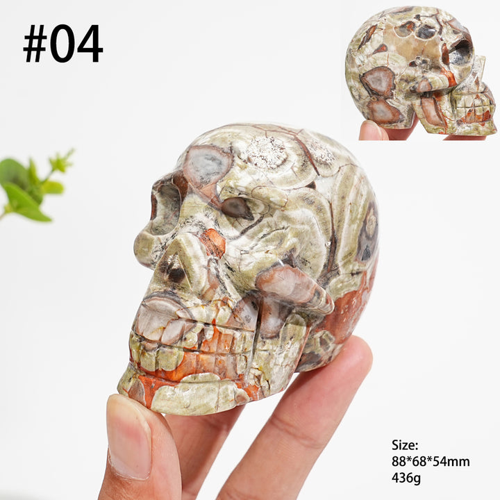 Unique,Natural Money Agate Skull Carving