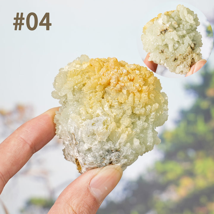 Unique, Natural Prehnite Raw