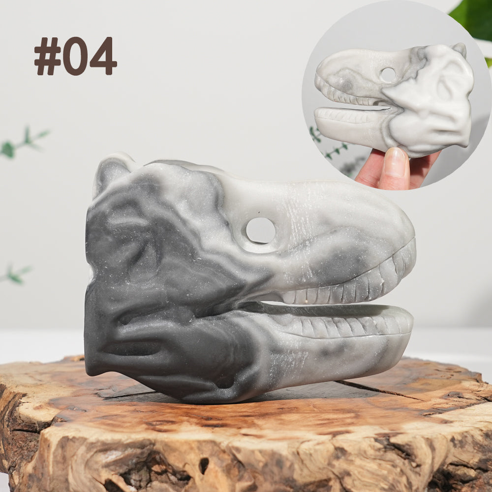 Unique,Natural Carving Dinosaur Skull