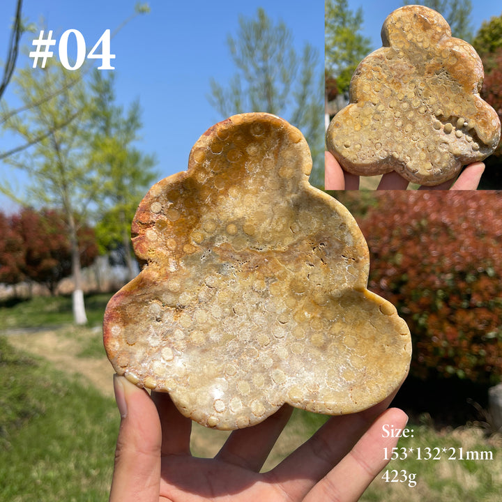 Unique,Natural Coral Fossil Crystal Flower Bowl