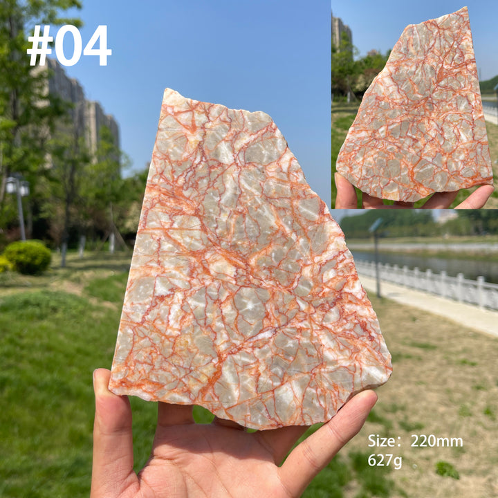 Unique,Natural Red Network Jasper Crystal Slice