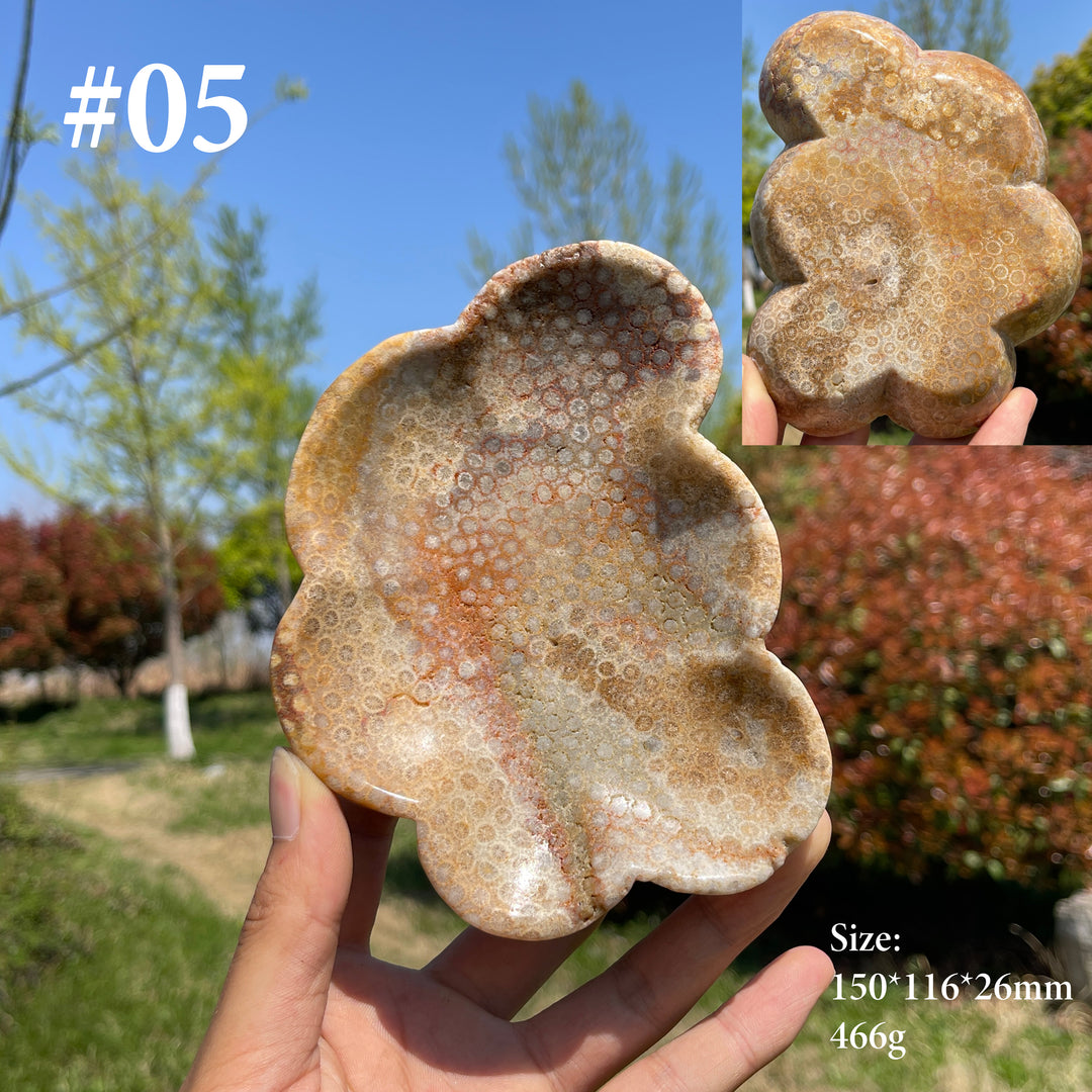 Unique,Natural Coral Fossil Crystal Flower Bowl