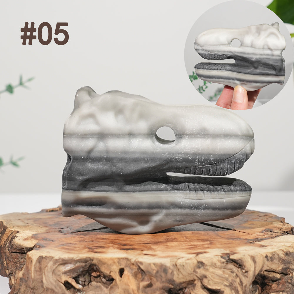 Unique,Natural Carving Dinosaur Skull