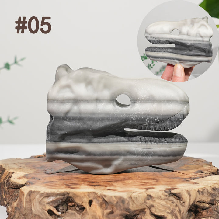 Unique,Natural Carving Dinosaur Skull