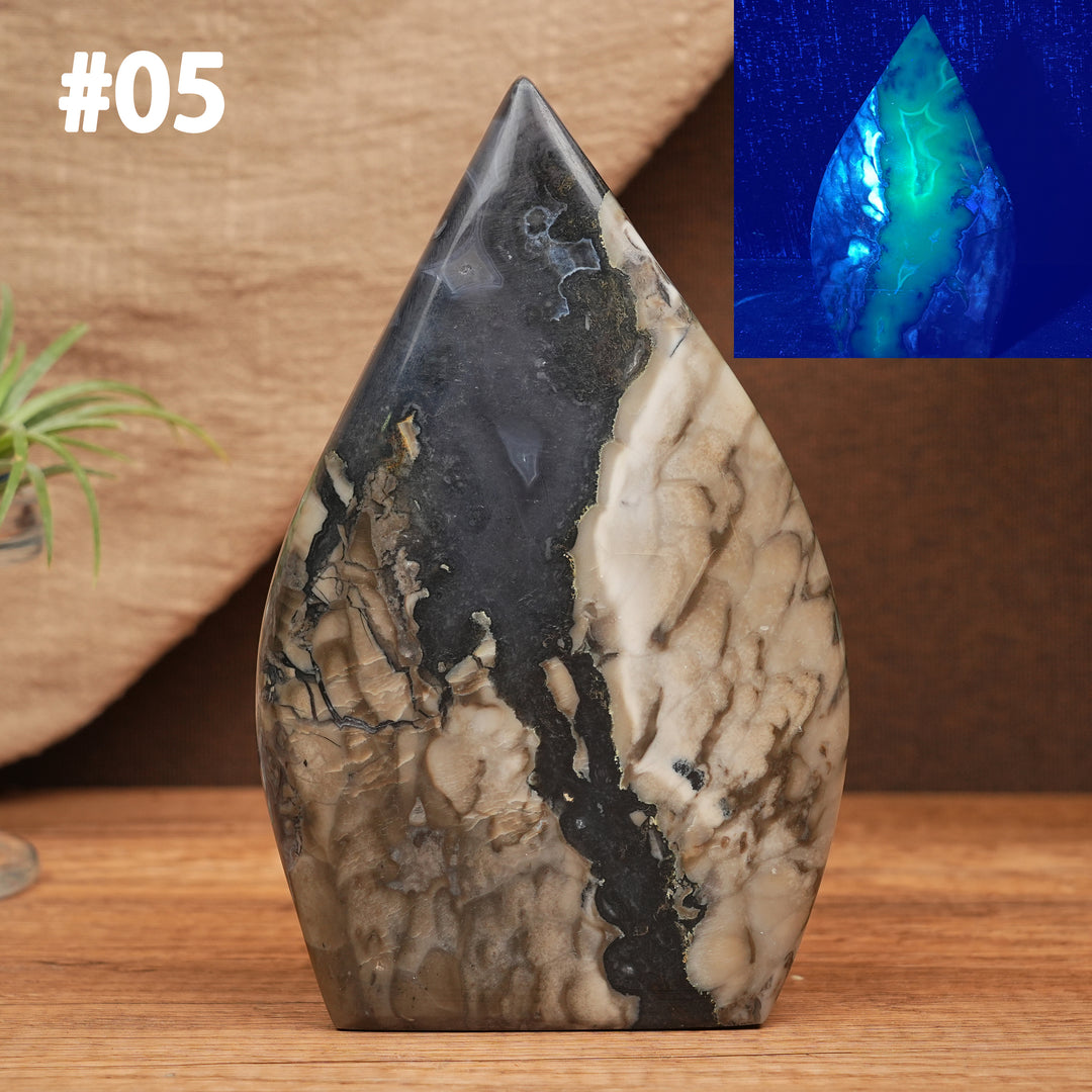 Larme d'agate mousse