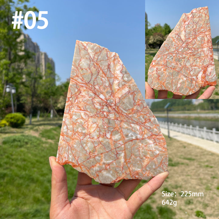 Unique,Natural Red Network Jasper Crystal Slice