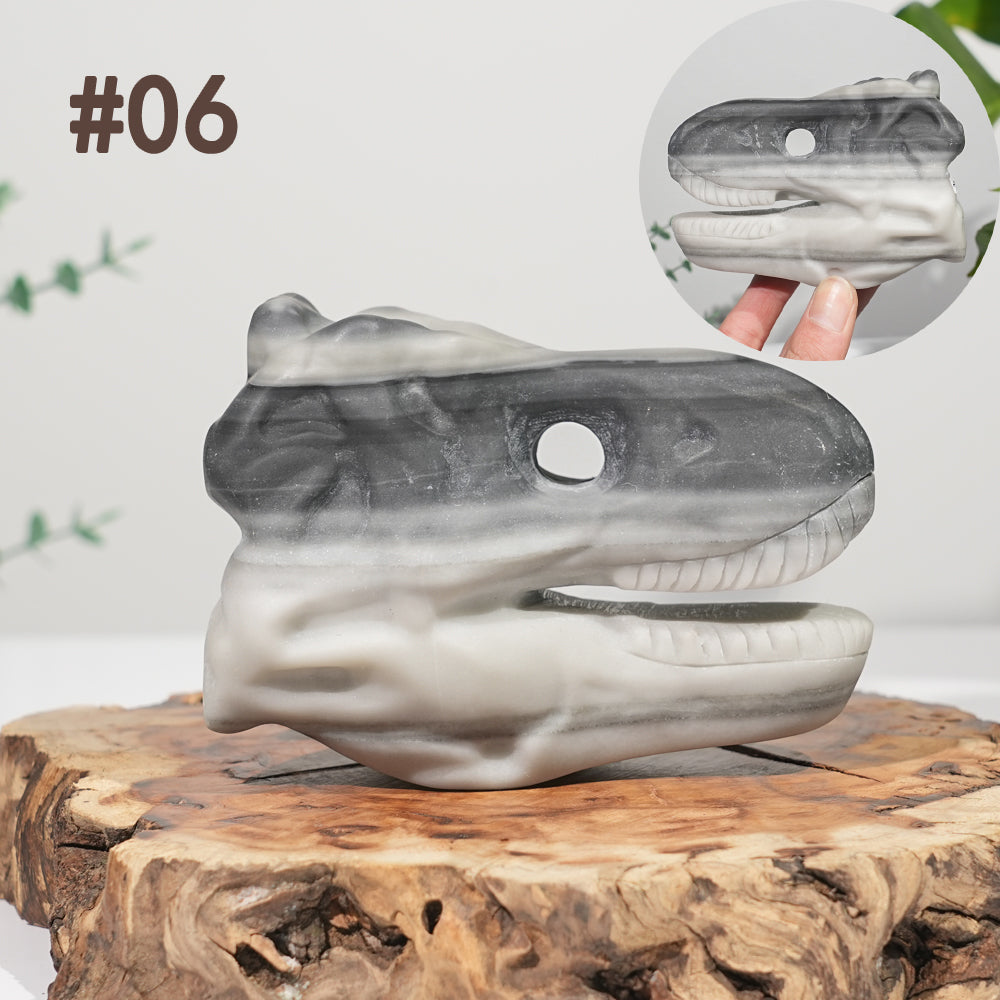 Unique,Natural Carving Dinosaur Skull