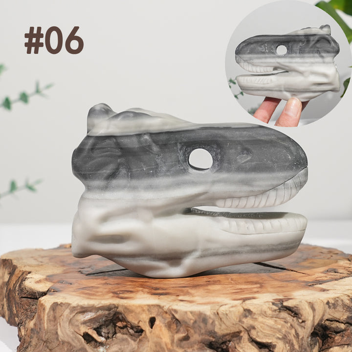 Unique,Natural Carving Dinosaur Skull