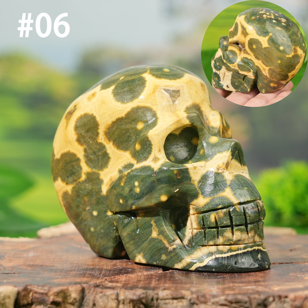 Unique,Natural Ocean Jasper Skull