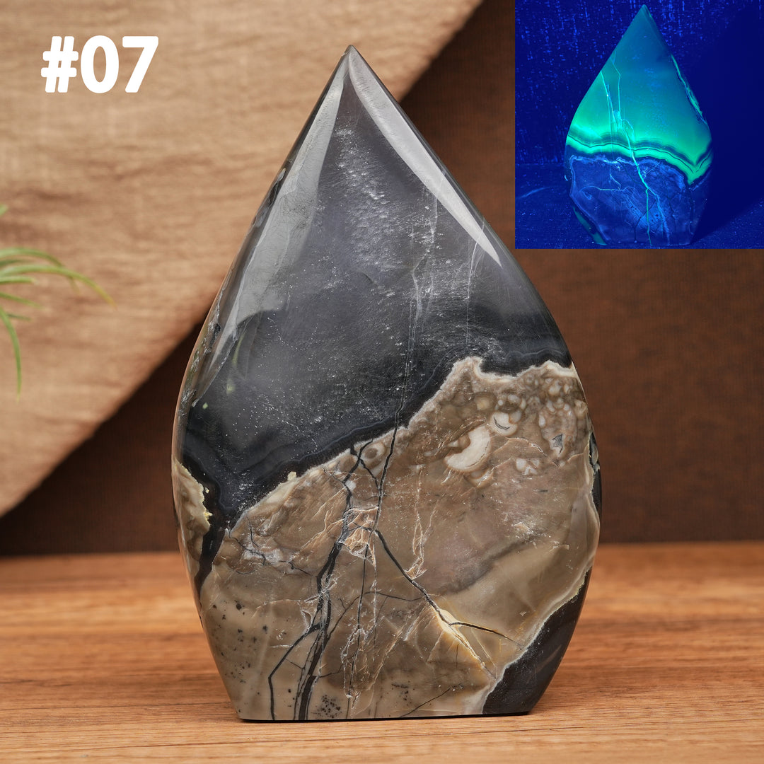 Larme d'agate mousse