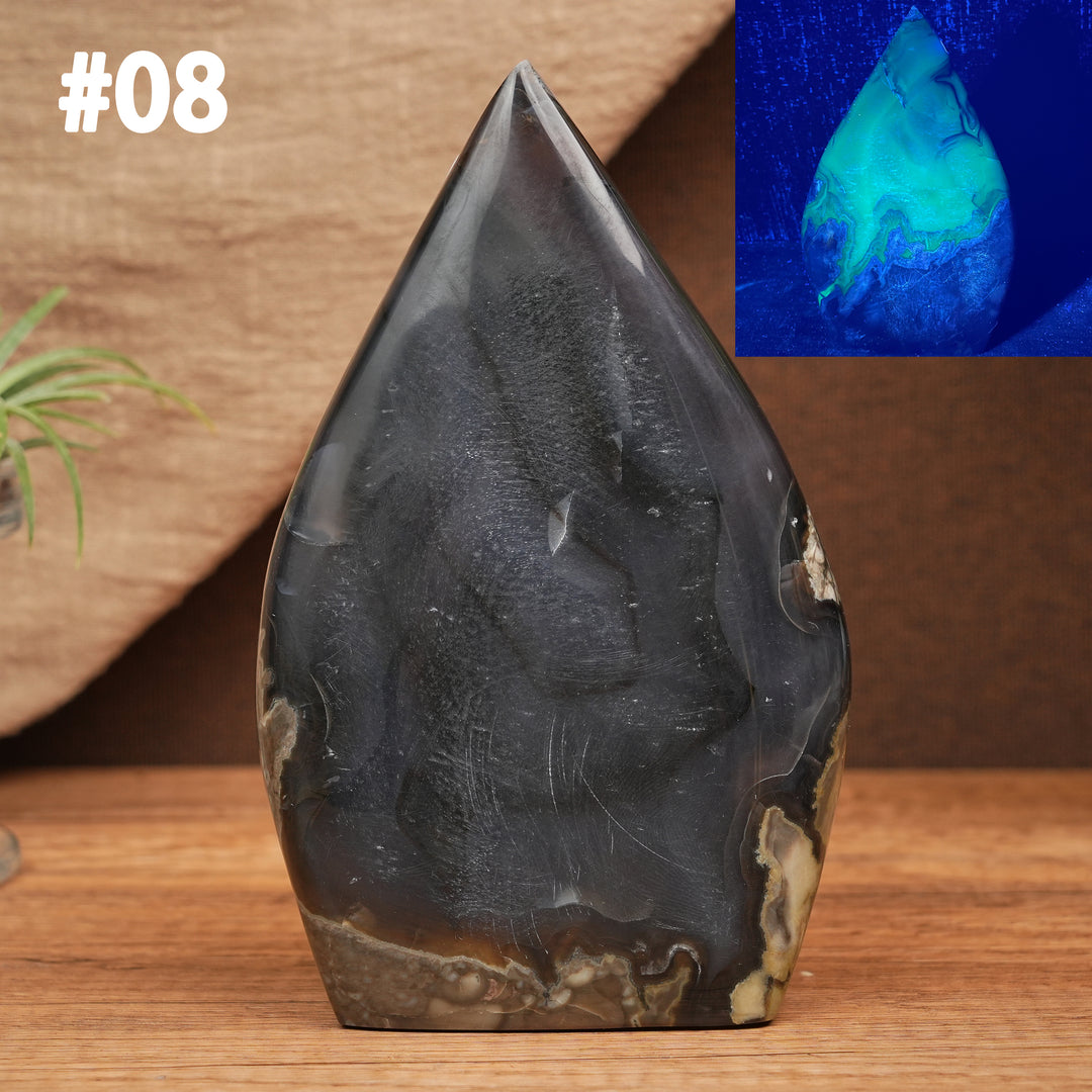 Larme d'agate mousse