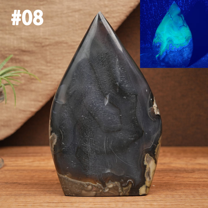 Larme d'agate mousse