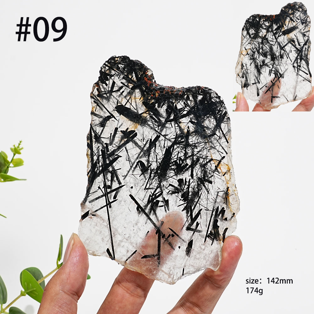 Unique,Natural Crystal Black Tourmaline In Quartz Slice