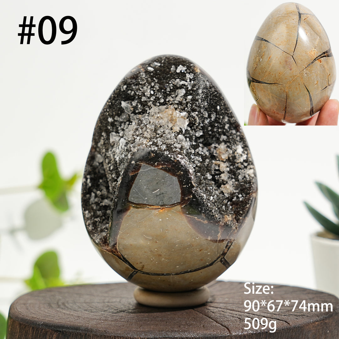 Unique,Natural Crystal Septarian Egg