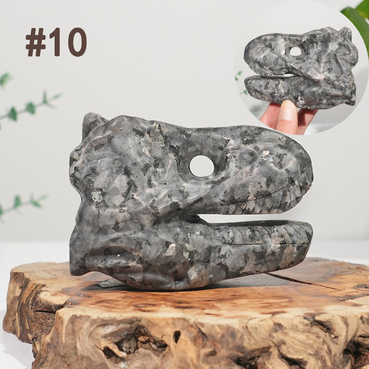 Unique,Natural Carving Dinosaur Skull