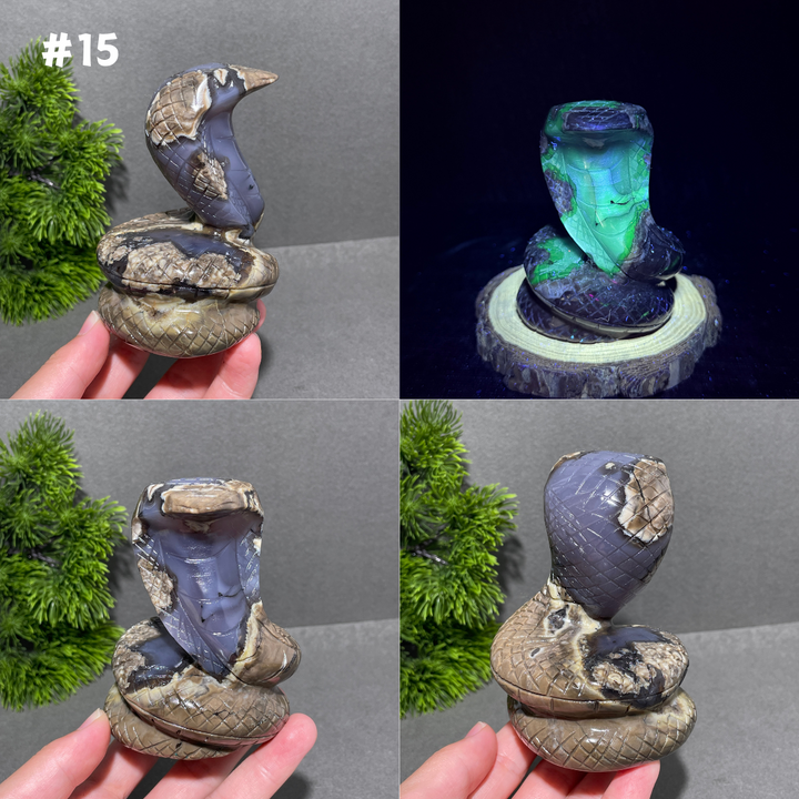 Unique,Volcanic Agate Snake