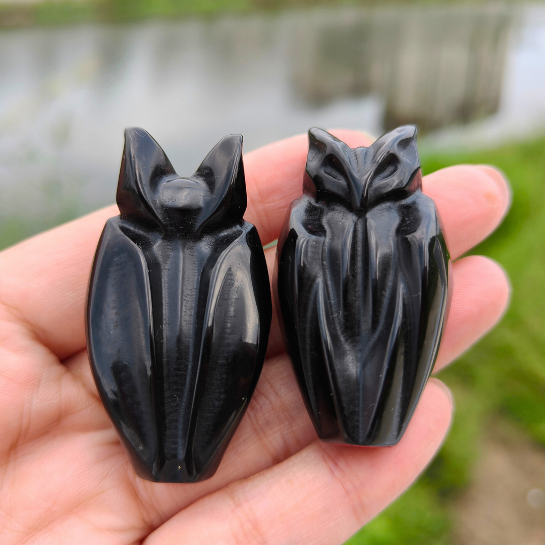 Obsidian Bat