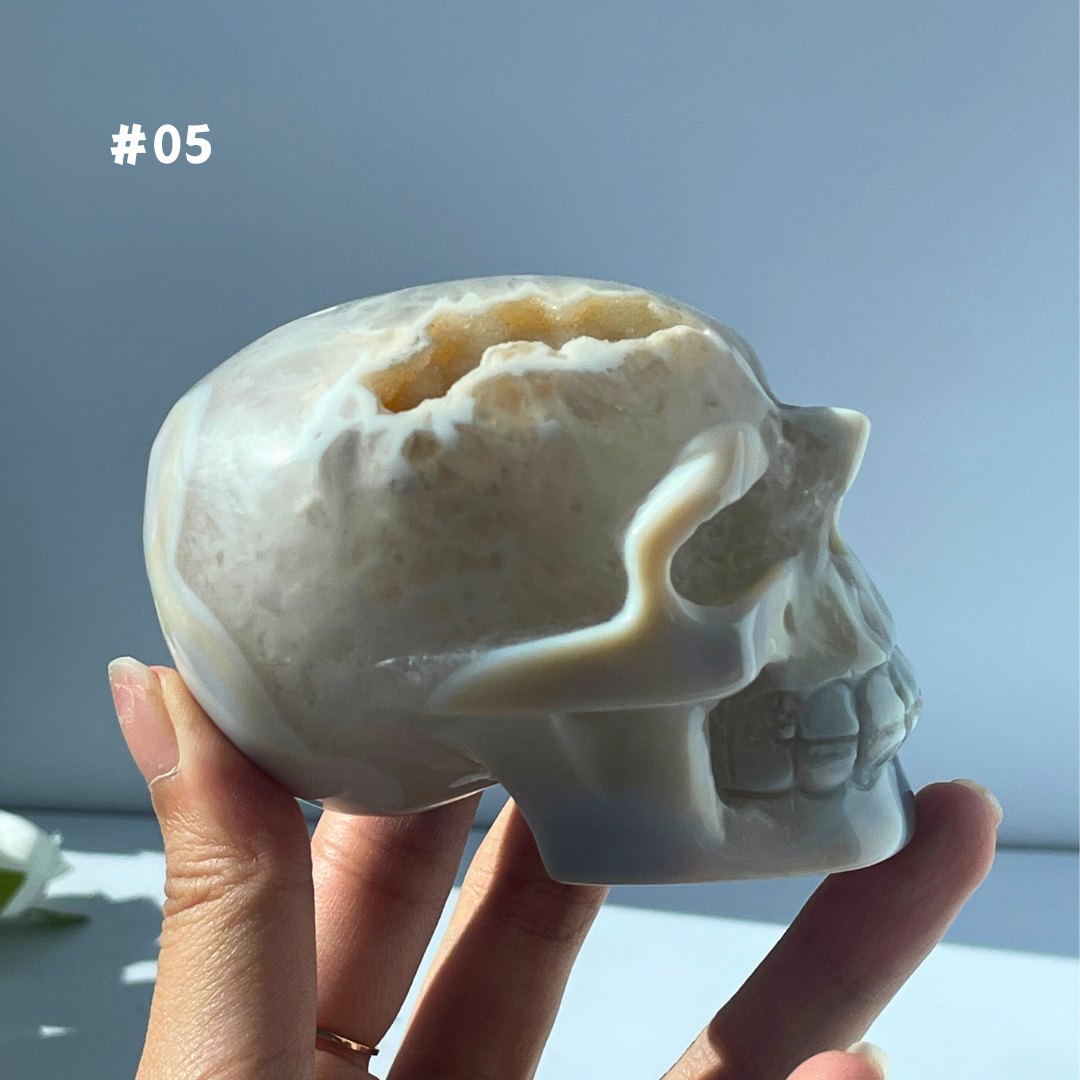 Big Sale,Agate Geode Skull