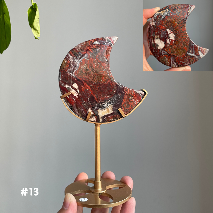 Unique, Mexican Agate Moon
