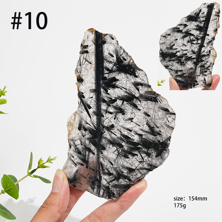 Unique,Natural Crystal Black Tourmaline In Quartz Slice
