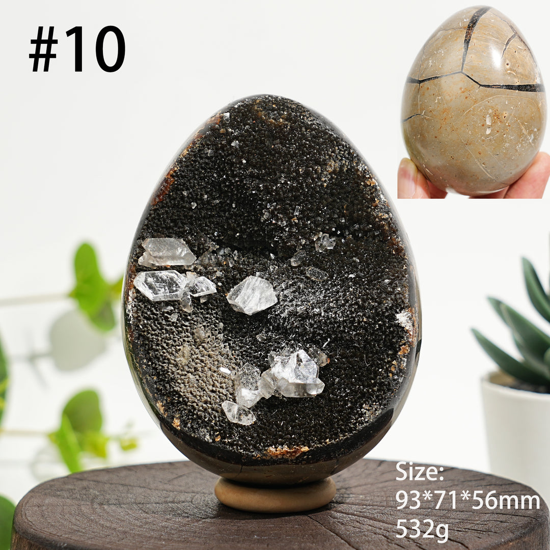 Unique,Natural Crystal Septarian Egg