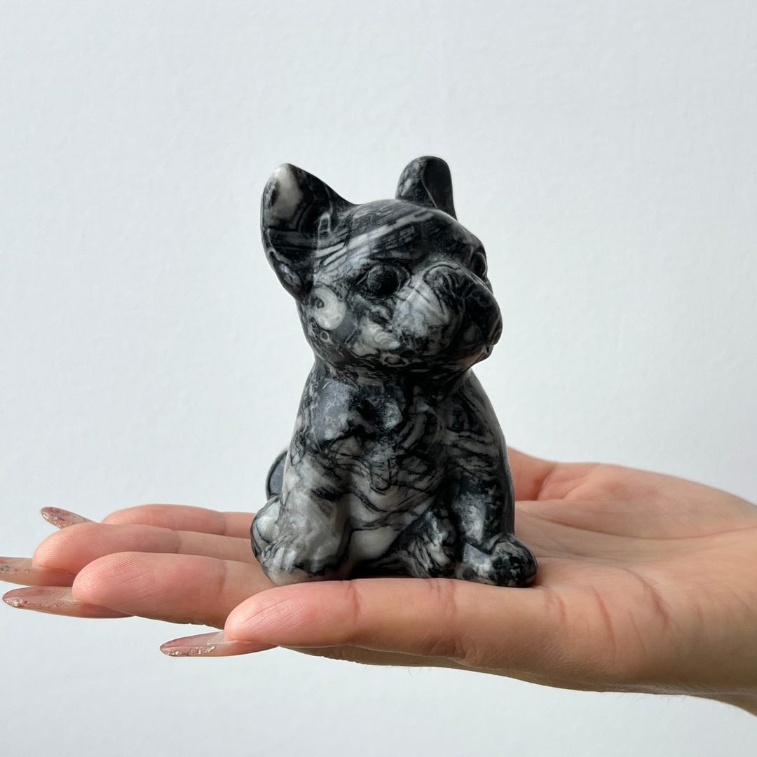 Ammonite Fossil Dog