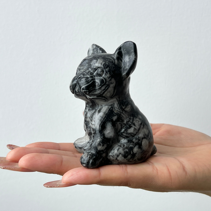 Ammonite Fossil Dog